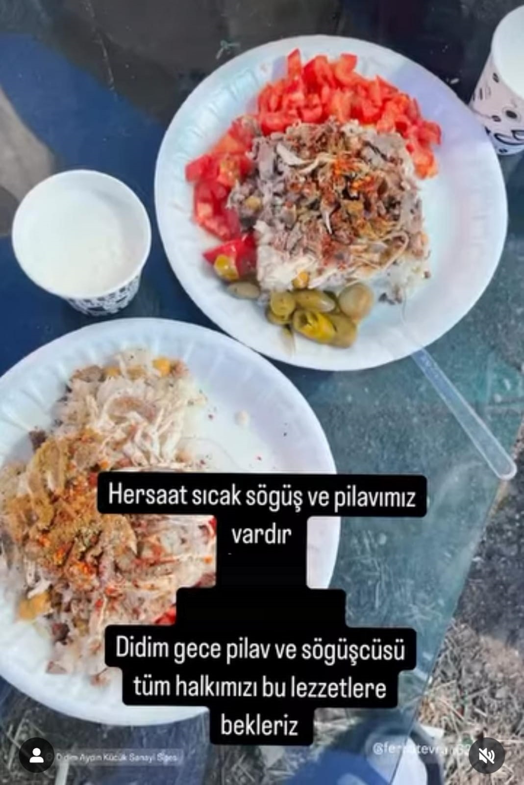 Özer Gece Söğüşçüsü